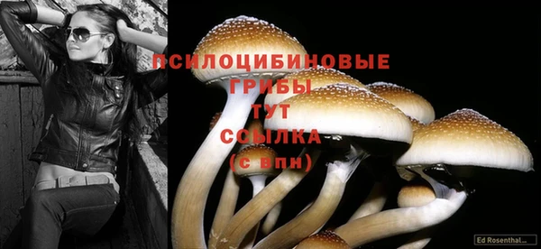 герыч Аркадак