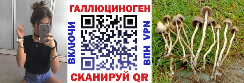 Псилоцибиновые грибы MAGIC MUSHROOMS  гидра ССЫЛКА  Байкальск 